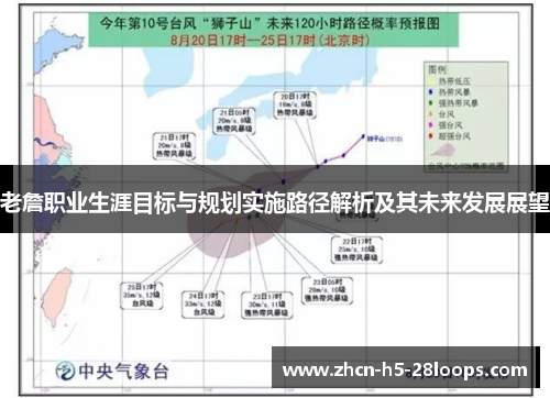 老詹职业生涯目标与规划实施路径解析及其未来发展展望