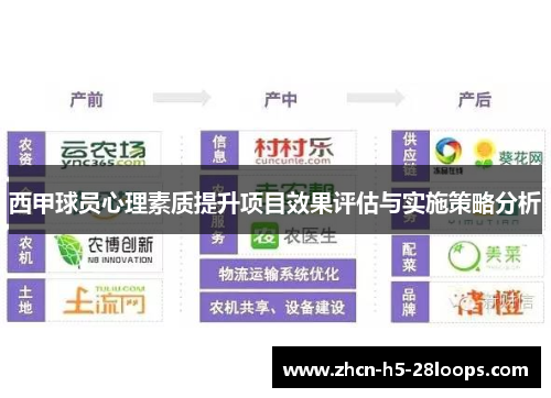 西甲球员心理素质提升项目效果评估与实施策略分析