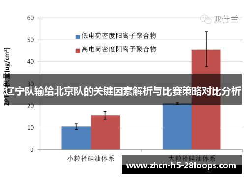 辽宁队输给北京队的关键因素解析与比赛策略对比分析