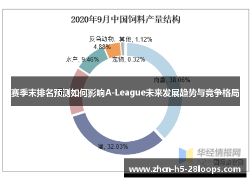 赛季末排名预测如何影响A-League未来发展趋势与竞争格局 赛季末排名预测如何影响A-League未来发展趋势与竞争格局