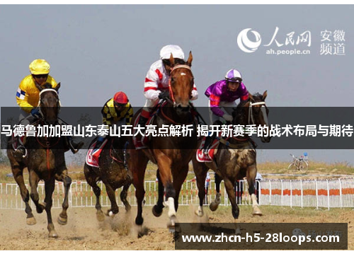 马德鲁加加盟山东泰山五大亮点解析 揭开新赛季的战术布局与期待 马德鲁加加盟山东泰山五大亮点解析 揭开新赛季的战术布局与期待